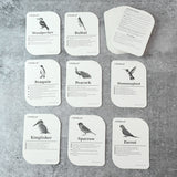 KidKraft Early Learner Educational Flashcards – 32 Birds